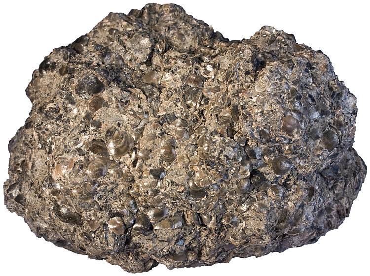 Rock -6